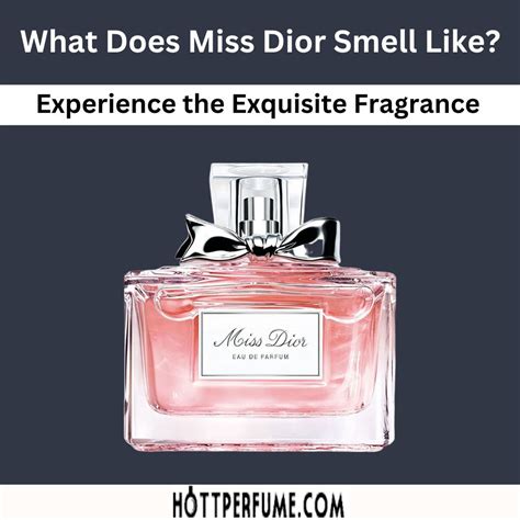 what's the best dior perfume|what does miss Dior smell like.